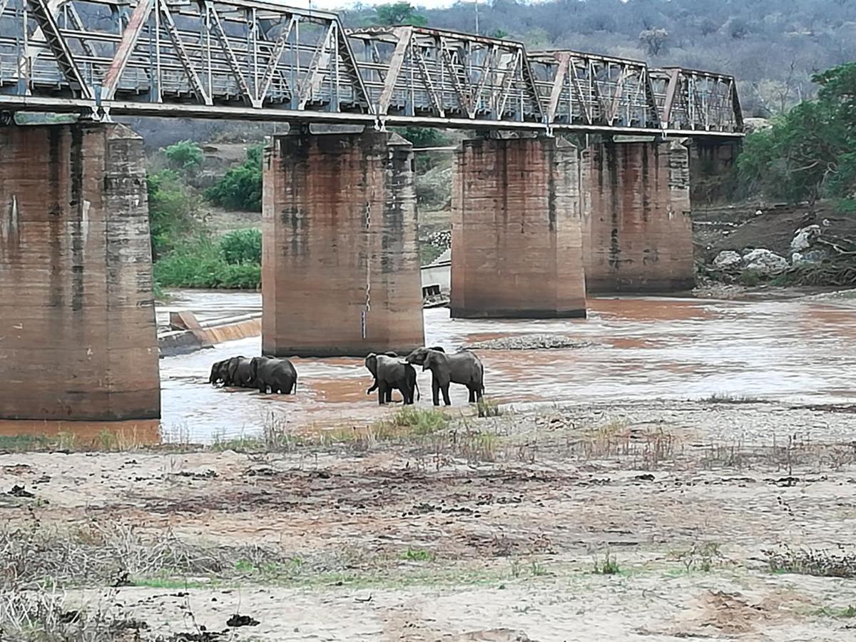 Three Bridges B&B Hoedspruit Dış mekan fotoğraf